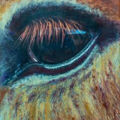 Annie's Eye, a painting by Norma Watters, part of the Out of the Blue Portal